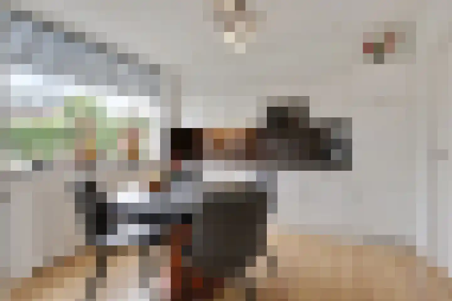 Prinses Irenestraat 23 Didam thumbnail 24