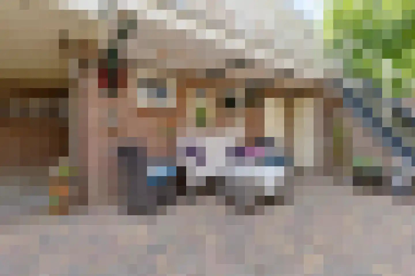 Prinses Irenestraat 23 Didam thumbnail 52