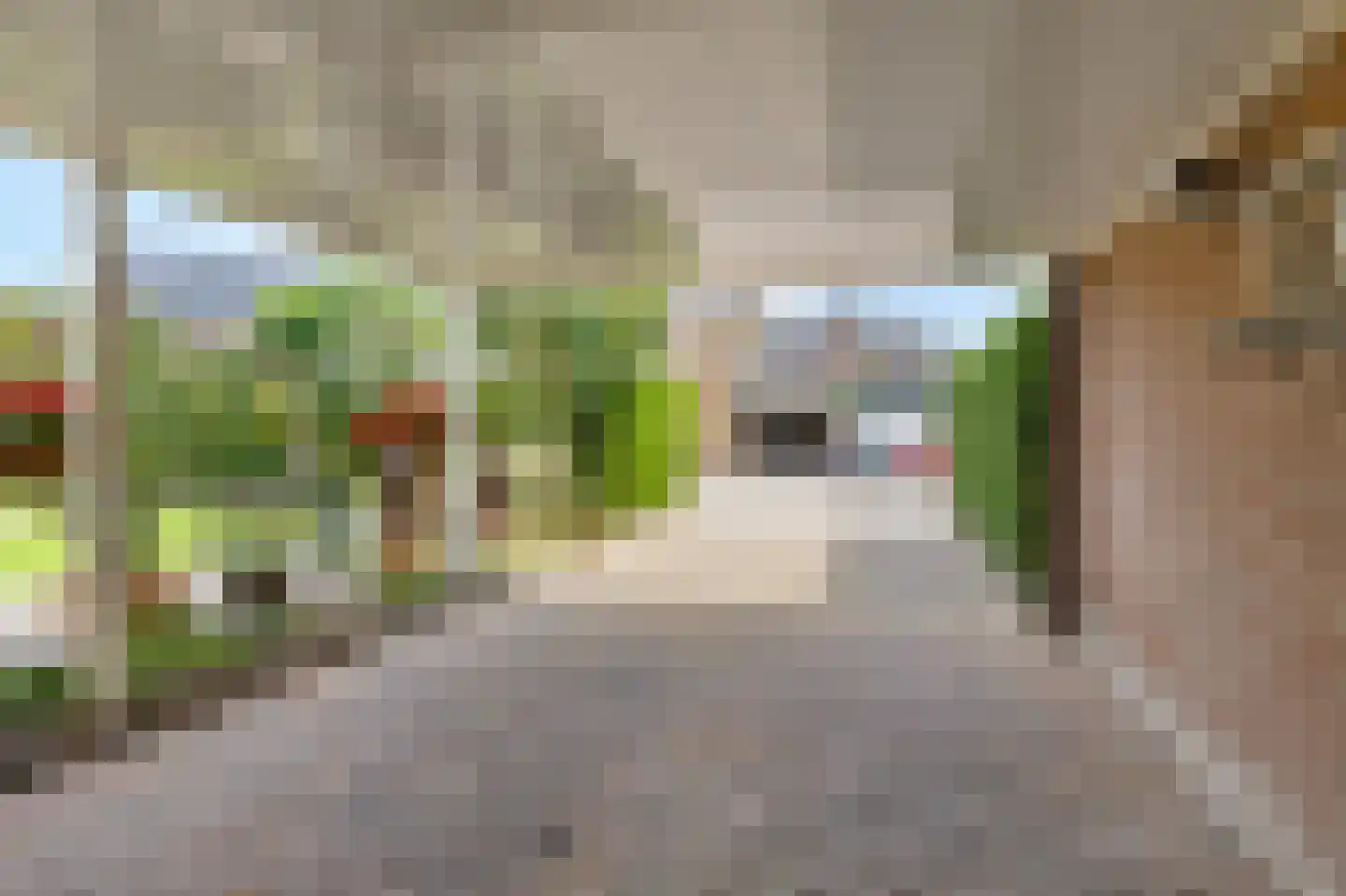 Prinses Irenestraat 23 Didam thumbnail 54