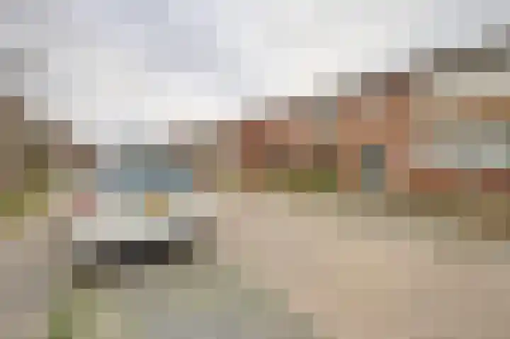 Prinses Irenestraat 24 Millingen aan de Rijn thumbnail 6