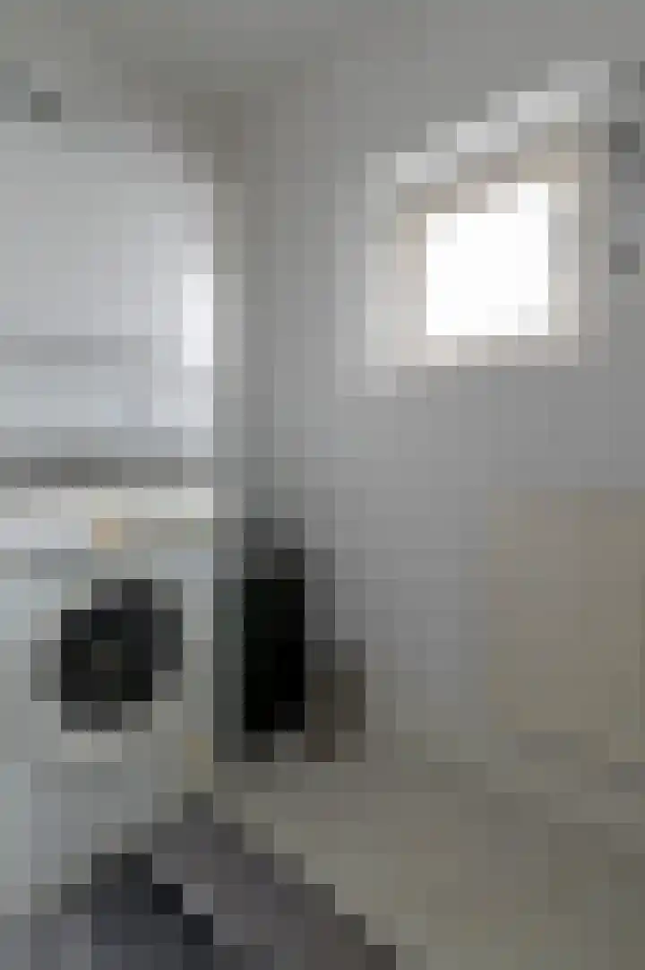 Prinses Irenestraat 25 Berkel-Enschot thumbnail 11