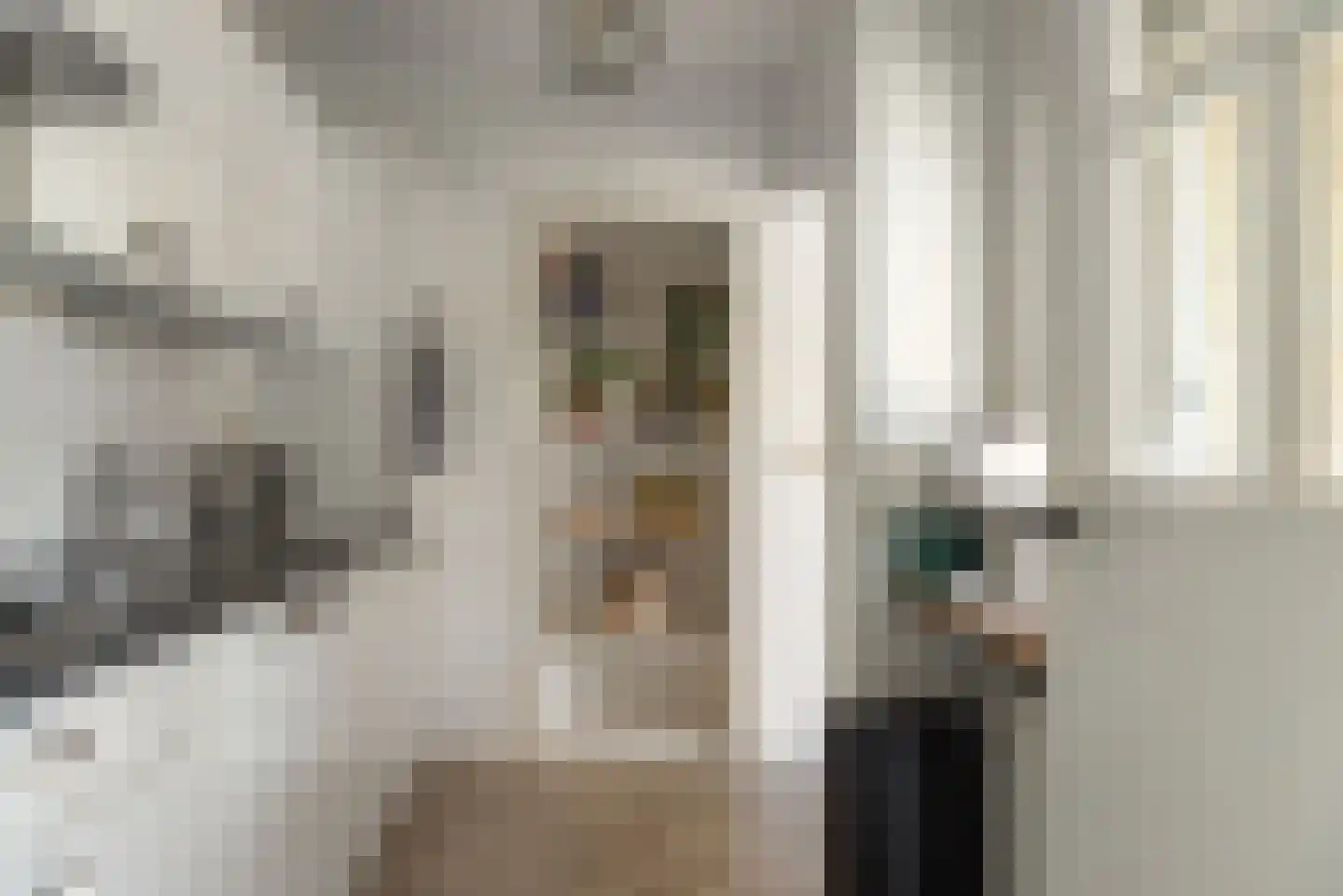 Prinses Irenestraat 25 Joure thumbnail 4