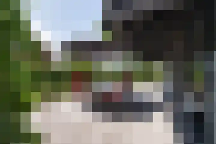 Prinses Irenestraat 26 Markelo thumbnail 26