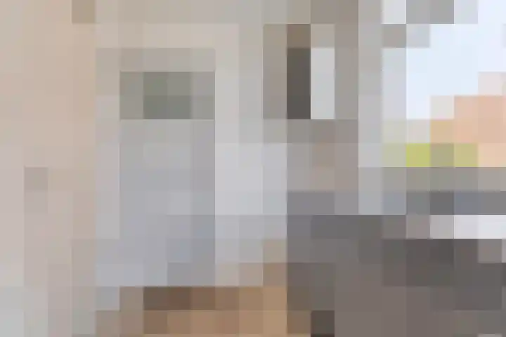 Prinses Irenestraat 3 Gaanderen thumbnail 12