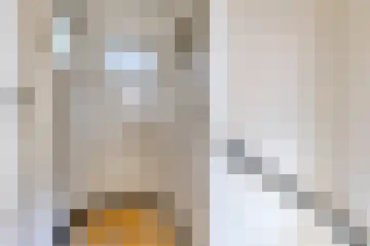 Prinses Irenestraat 3 Gaanderen thumbnail 17