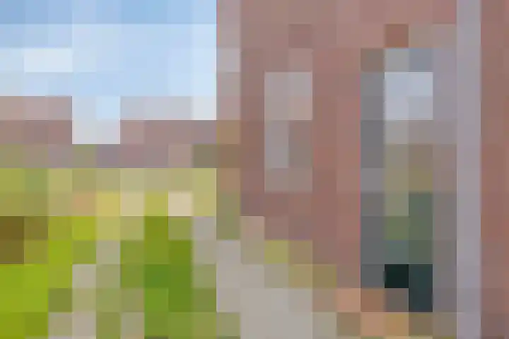 Prinses Irenestraat 3 Gaanderen thumbnail 29