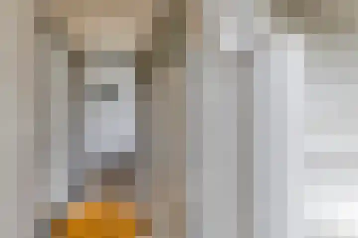 Prinses Irenestraat 3 Gaanderen thumbnail 5