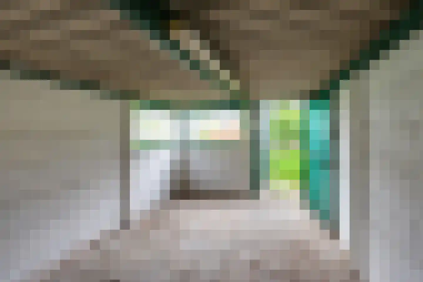 Prinses Irenestraat 3 Oisterwijk thumbnail 37