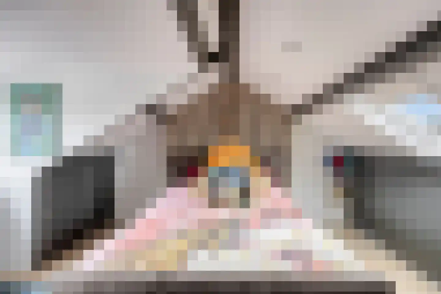 Prinses Irenestraat 3 Oudewater thumbnail 31