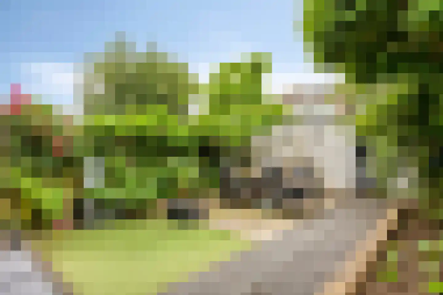 Prinses Irenestraat 3 Oudewater thumbnail 34