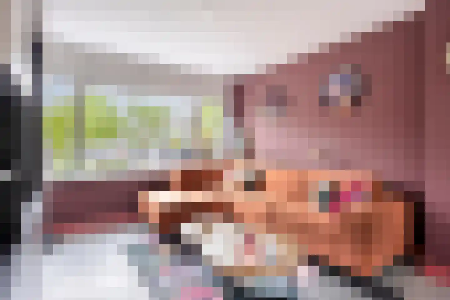 Prinses Irenestraat 3 Oudewater thumbnail 7