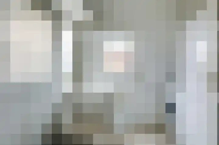 Prinses Irenestraat 3 Overasselt thumbnail 10