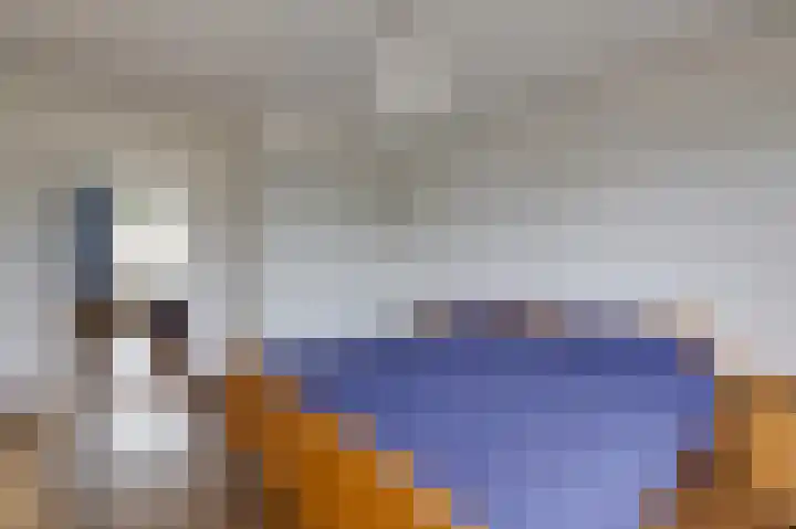 Prinses Irenestraat 3 Overasselt thumbnail 18