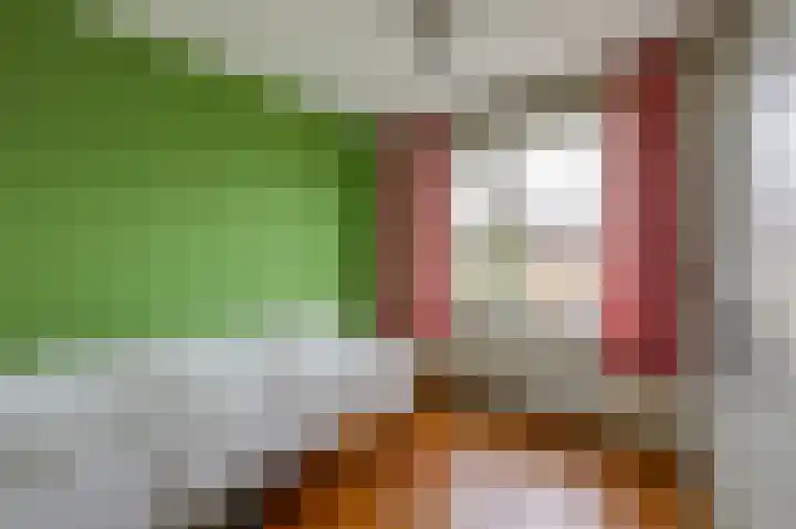 Prinses Irenestraat 3 Overasselt thumbnail 23