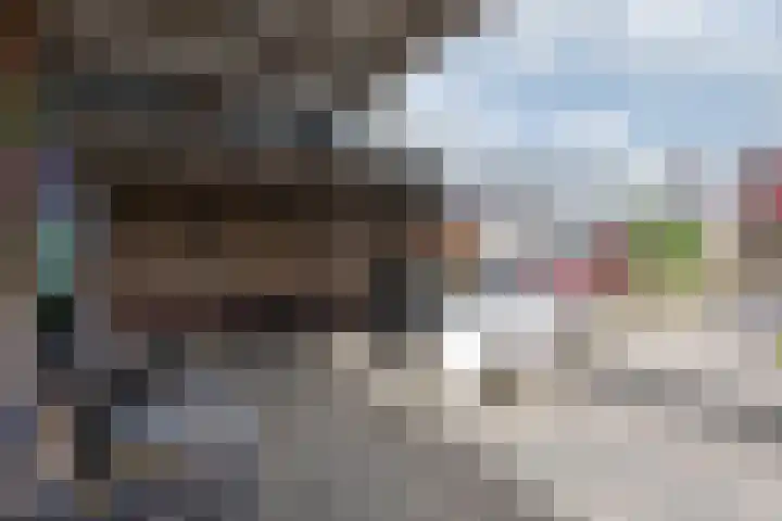 Prinses Irenestraat 3 Overasselt thumbnail 30