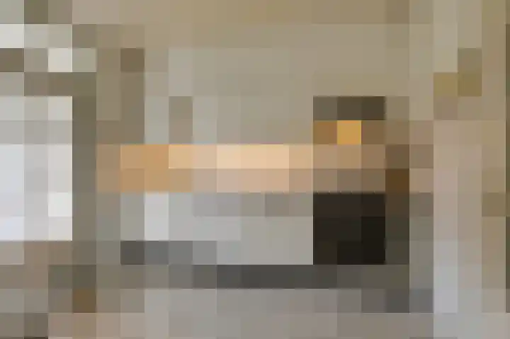 Prinses Irenestraat 3 Overasselt thumbnail 8