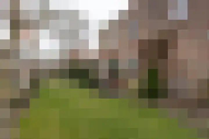 Prinses Irenestraat 30 Borculo thumbnail 37