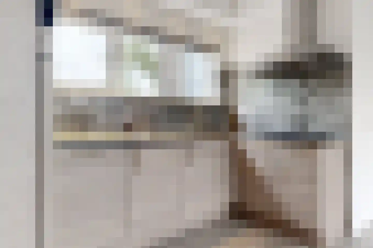 Prinses Irenestraat 35 a Dinteloord thumbnail 19