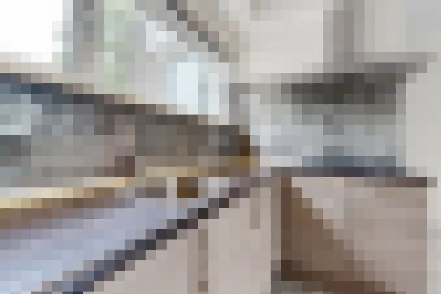 Prinses Irenestraat 35 a Dinteloord thumbnail 20