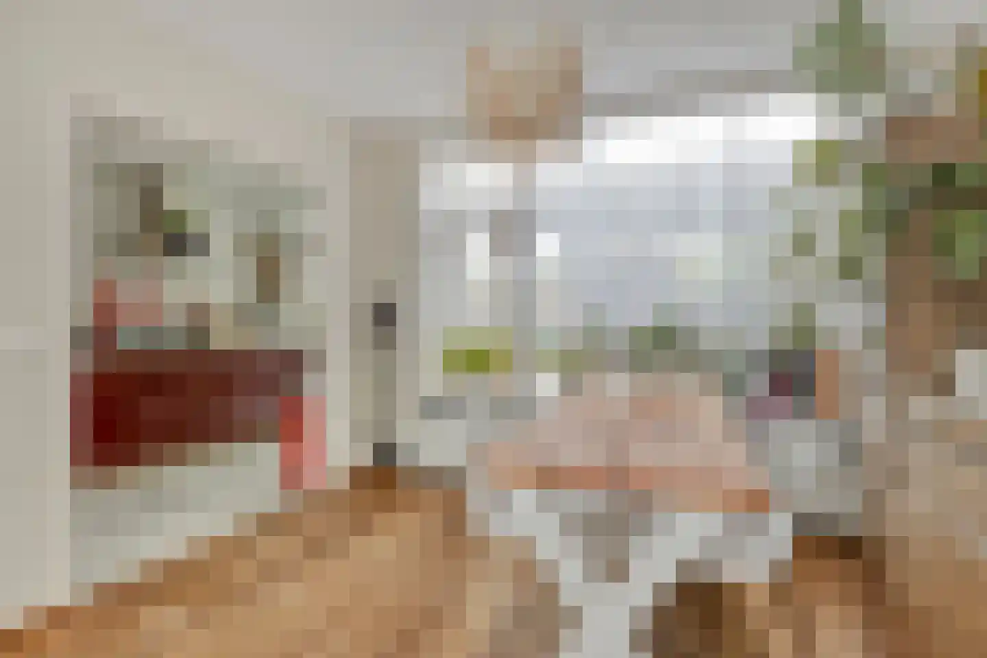 Prinses Irenestraat 4 Fijnaart thumbnail 11