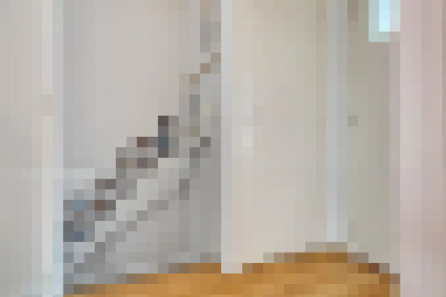 Prinses Irenestraat 4 Fijnaart thumbnail 16