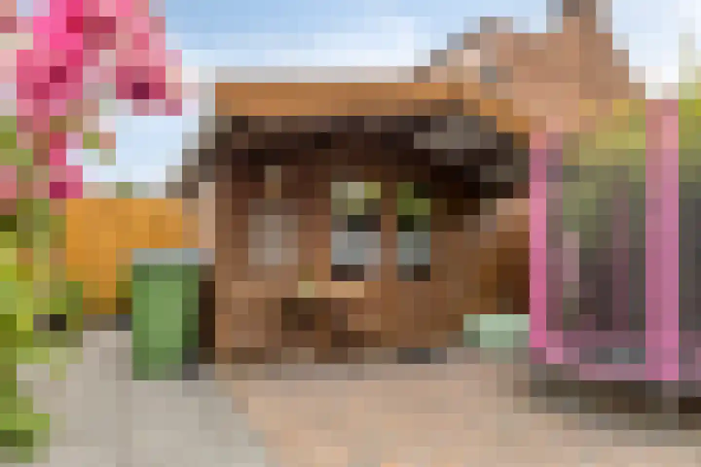 Prinses Irenestraat 4 Fijnaart thumbnail 30