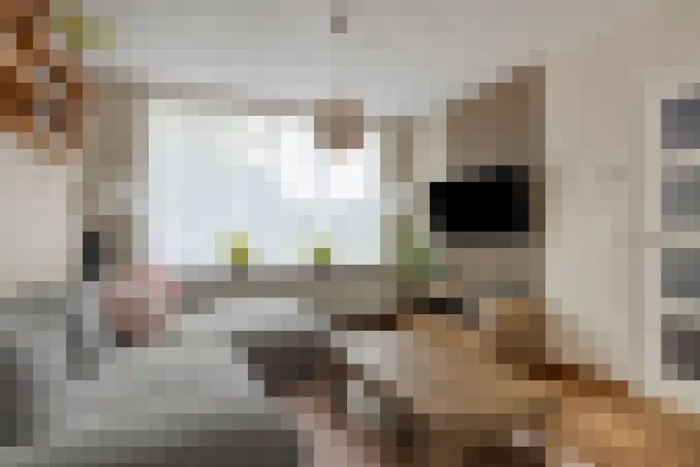 Prinses Irenestraat 4 Fijnaart thumbnail 7