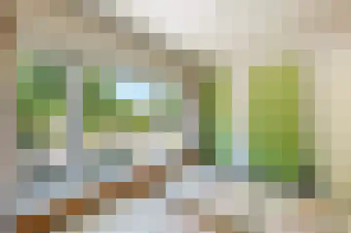 Prinses Irenestraat 4 Markelo thumbnail 21