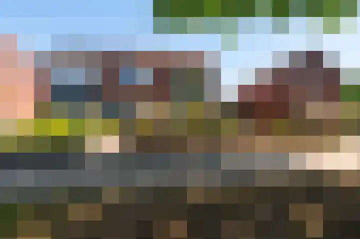 Prinses Irenestraat 4 Markelo thumbnail 22