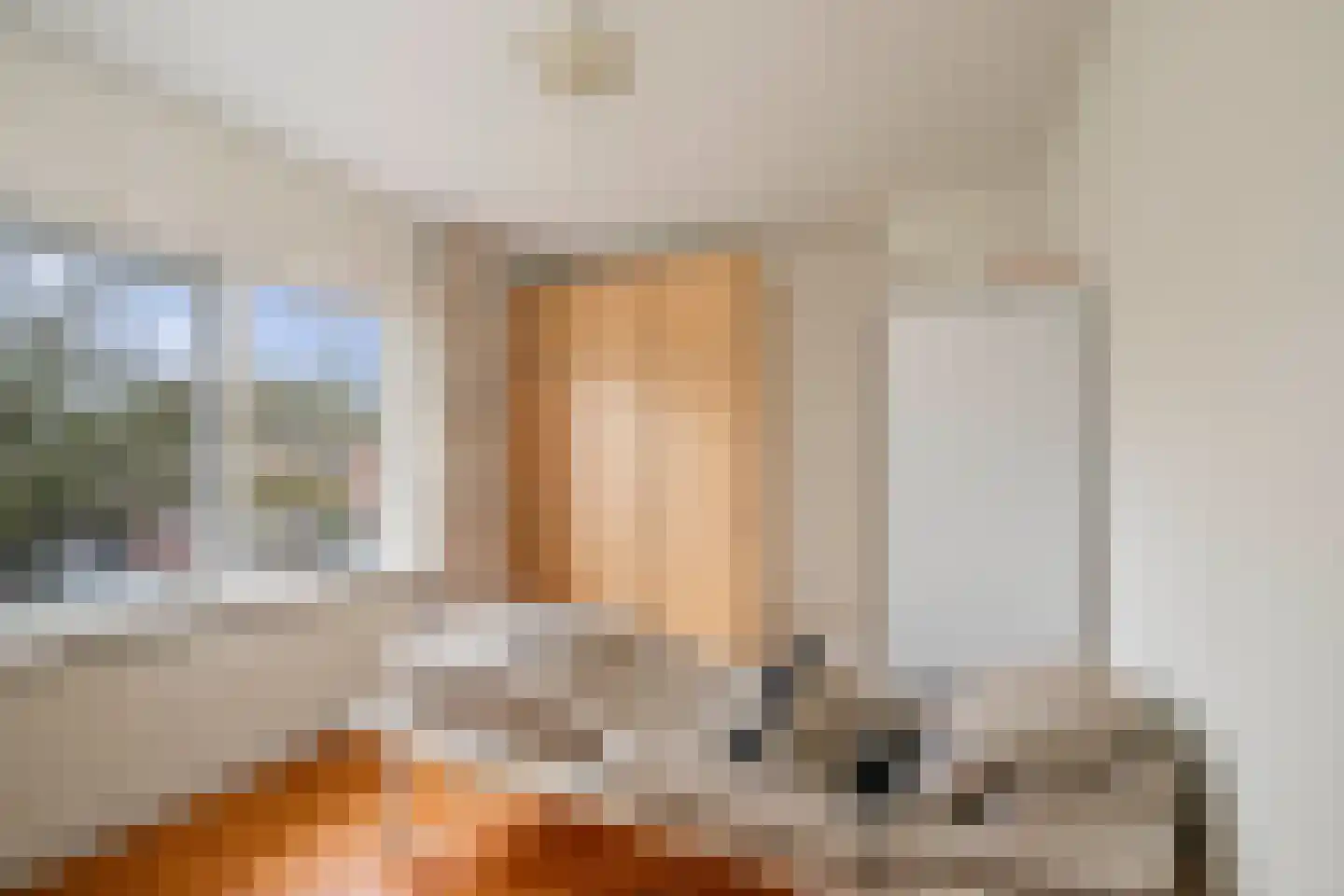 Prinses Irenestraat 4 Olst thumbnail 17