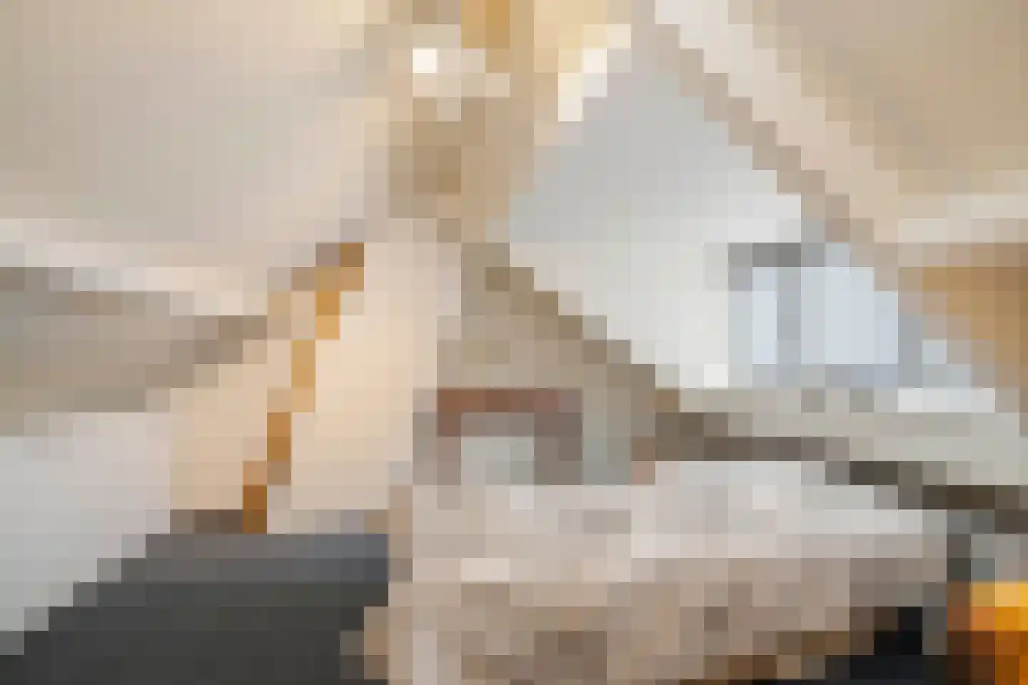 Prinses Irenestraat 4 Olst thumbnail 20