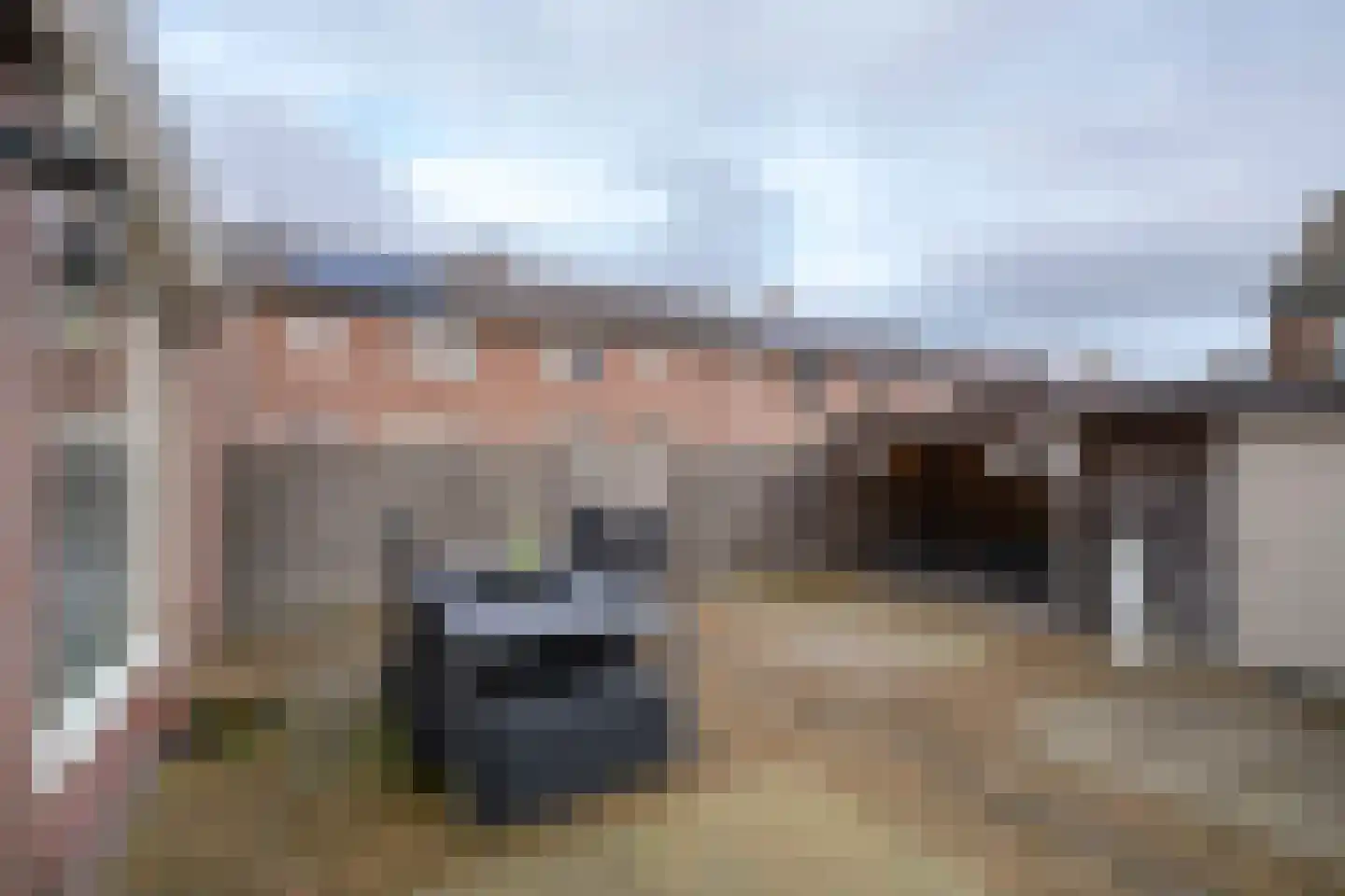 Prinses Irenestraat 4 Olst thumbnail 22