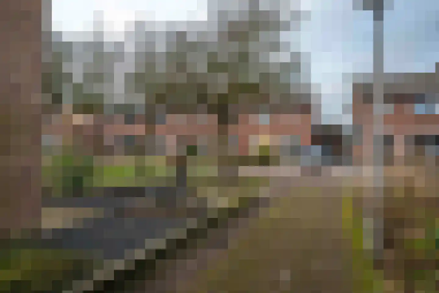 Prinses Irenestraat 4 Olst thumbnail 29