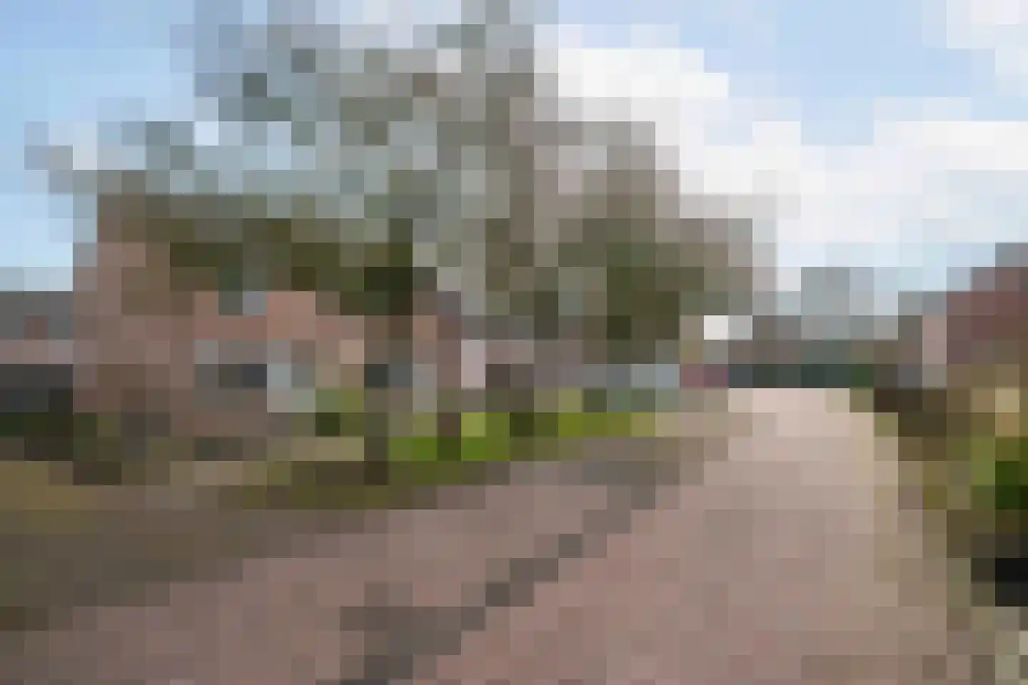 Prinses Irenestraat 4 Olst foto 3