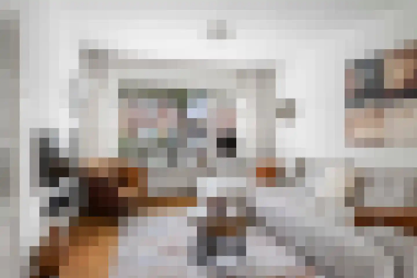 Prinses Irenestraat 4 Olst thumbnail 6