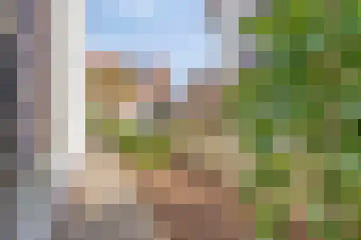 Prinses Irenestraat 4 Wemeldinge thumbnail 19