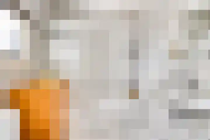 Prinses Irenestraat 4 Wemeldinge thumbnail 8