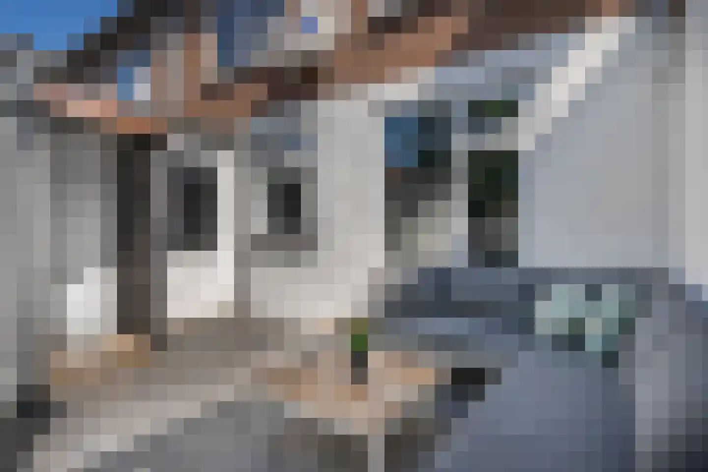 Prinses Irenestraat 40 Hedel thumbnail 22