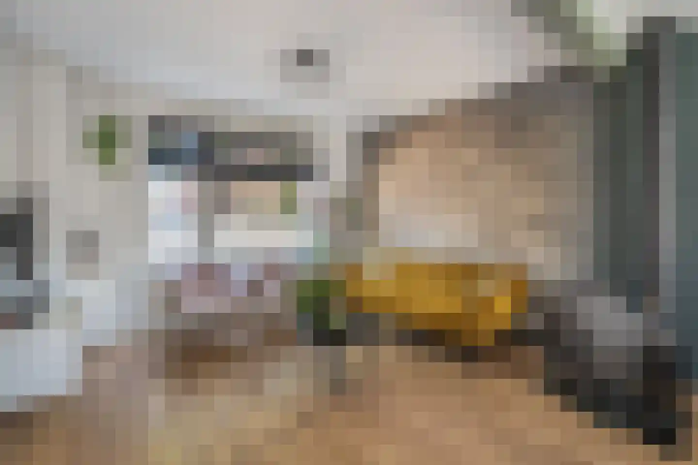 Prinses Irenestraat 40 Hedel thumbnail 8