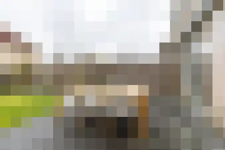 Prinses Irenestraat 5 Burgum thumbnail 25