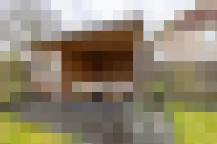 Prinses Irenestraat 5 Burgum thumbnail 28