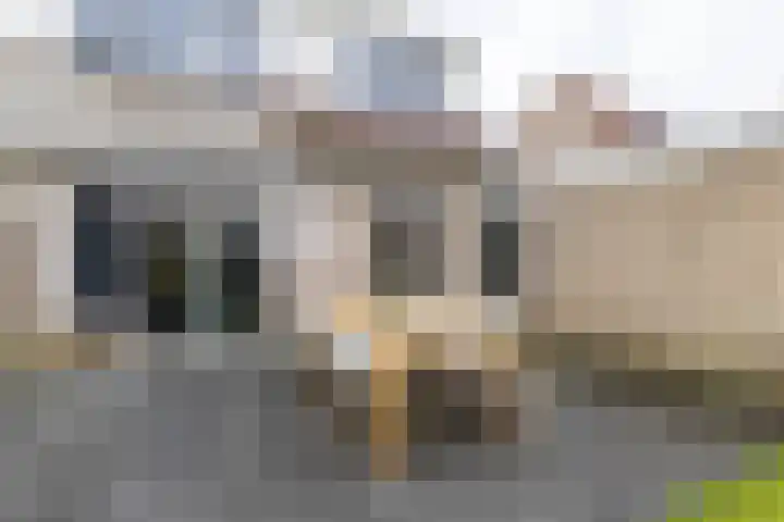 Prinses Irenestraat 5 Burgum thumbnail 32