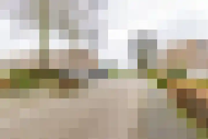 Prinses Irenestraat 5 Burgum thumbnail 7