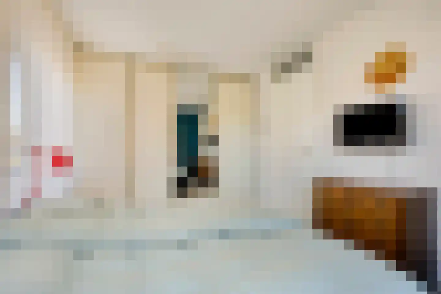 Prinses Irenestraat 5 E Assen thumbnail 28