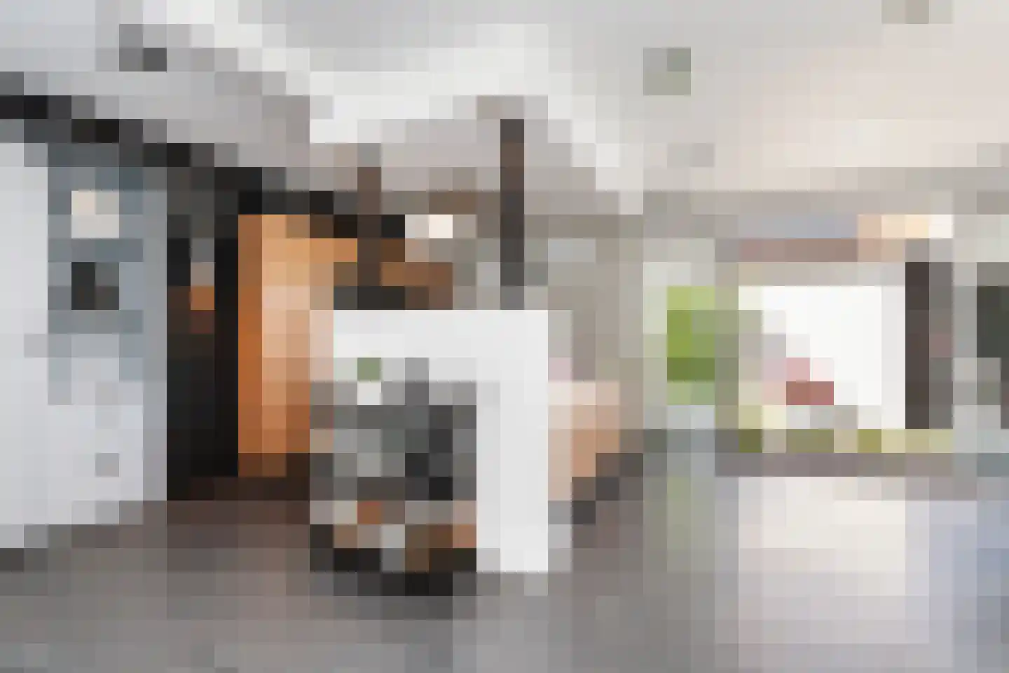 Prinses Irenestraat 5 Ridderkerk thumbnail 11