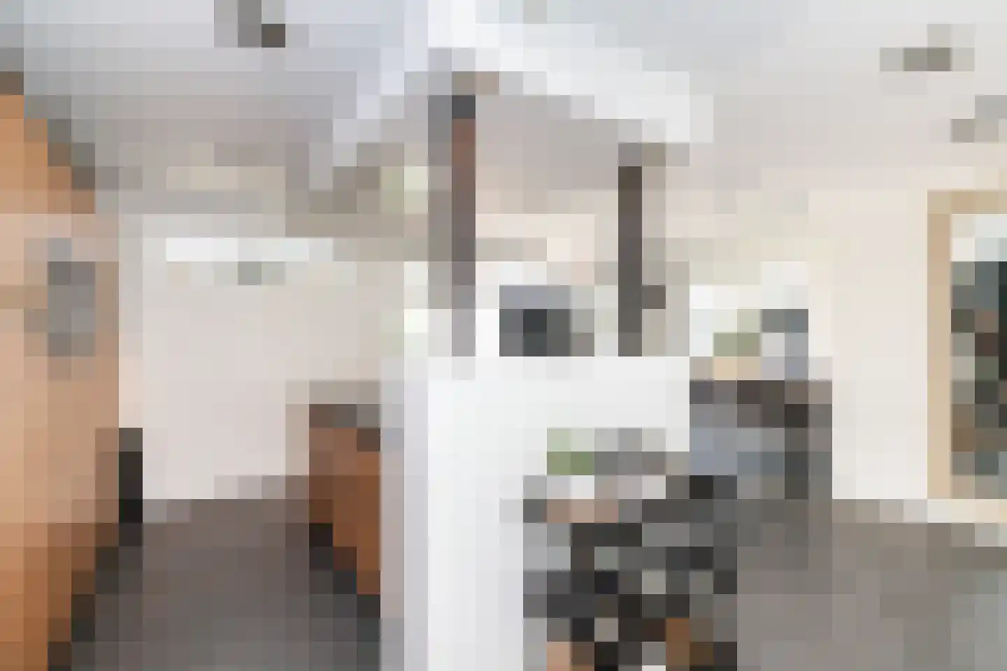 Prinses Irenestraat 5 Ridderkerk thumbnail 12