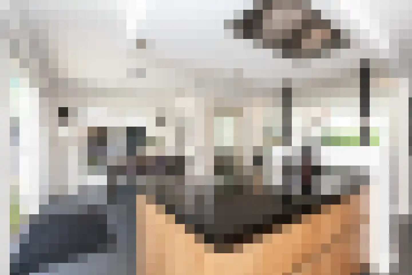 Prinses Irenestraat 5 Ridderkerk thumbnail 13
