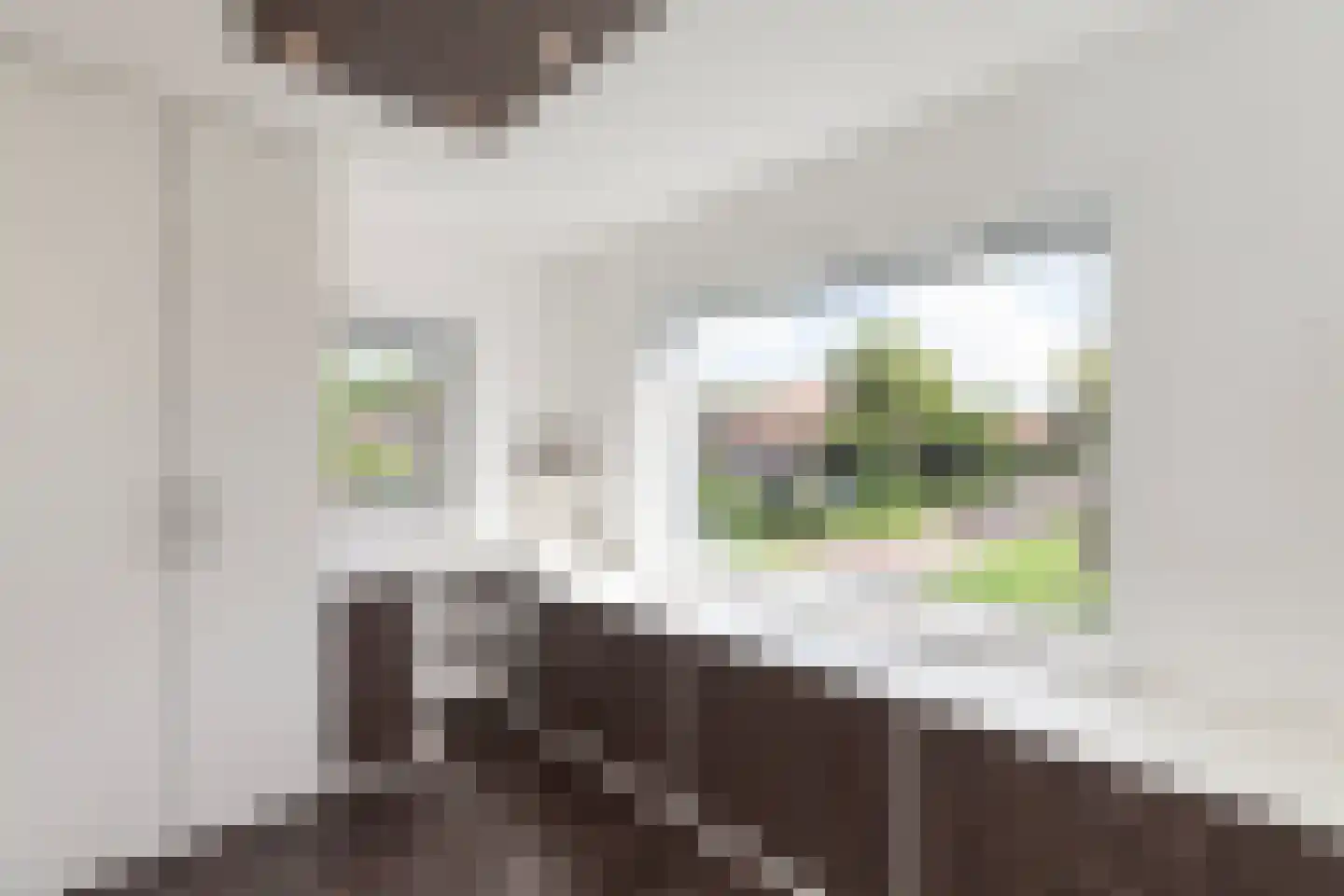 Prinses Irenestraat 5 Ridderkerk thumbnail 21