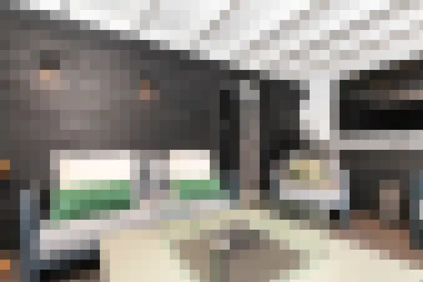 Prinses Irenestraat 5 Ridderkerk thumbnail 38