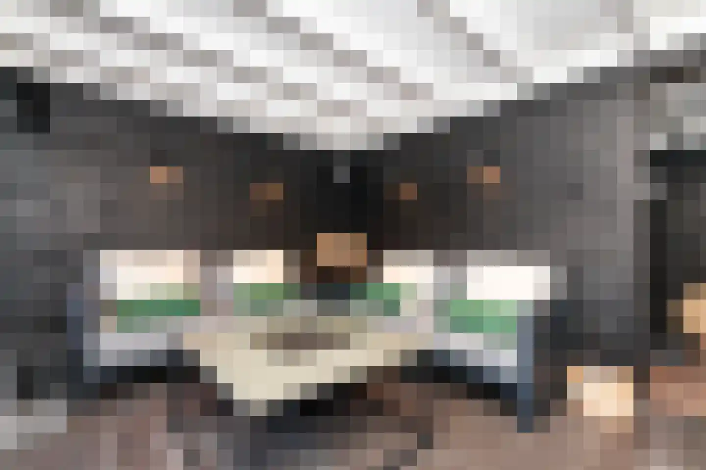 Prinses Irenestraat 5 Ridderkerk thumbnail 39